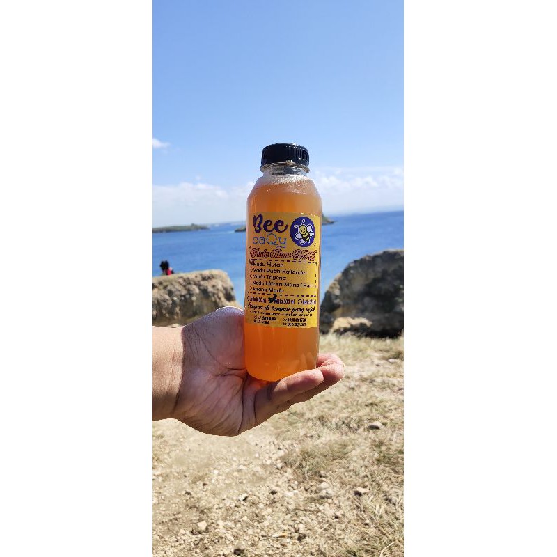 

Madu Hutan Apis Dorsata Kemasan 500 ml Asli Sumbawa