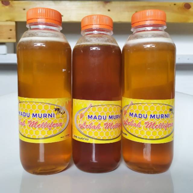 

Madu Murni Mellibera
