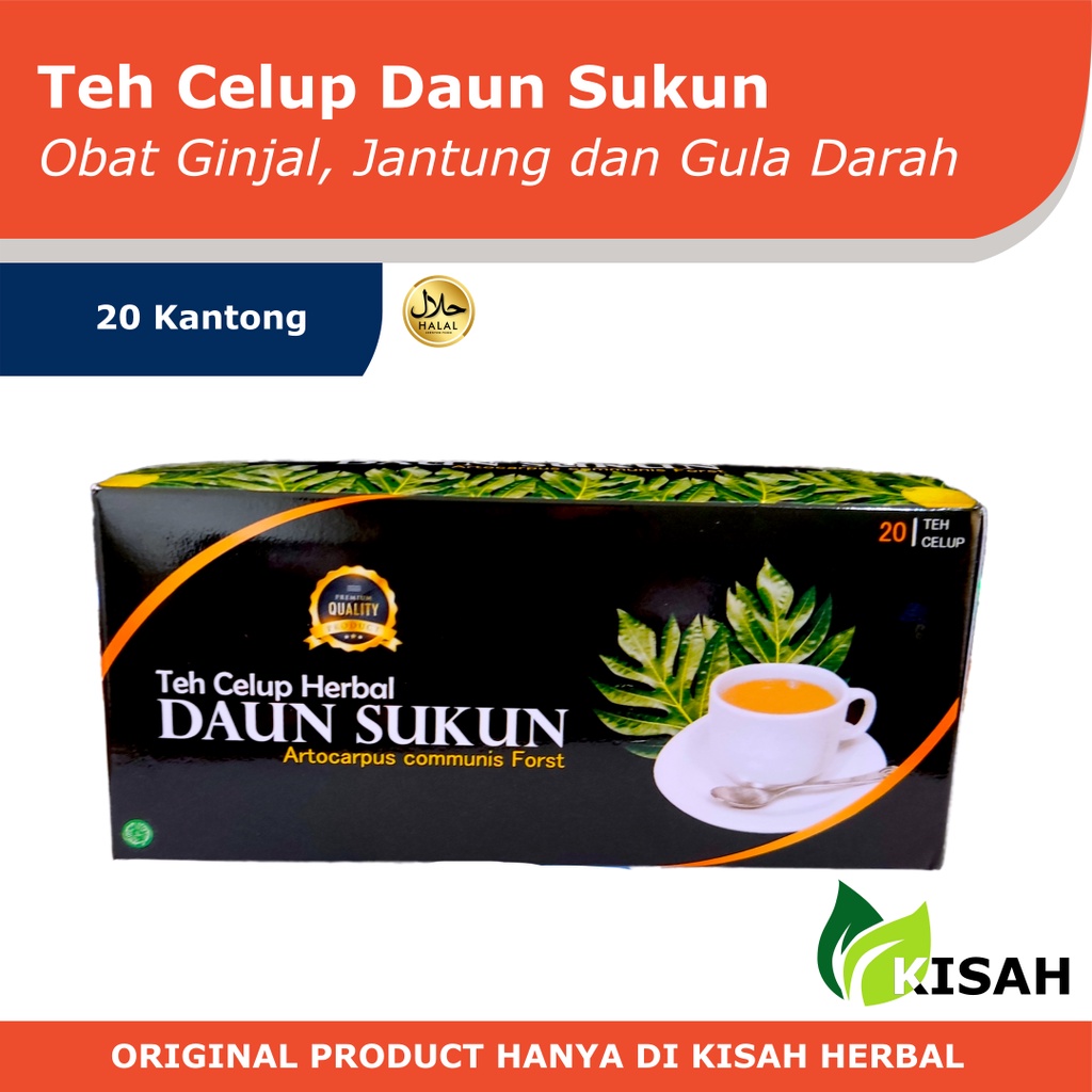 TEH CELUP DAUN SUKUN PREMIUM 20 KANTONG | OBAT PENYAKIT GINJAL, JANTUNG DAN GULA DARAH