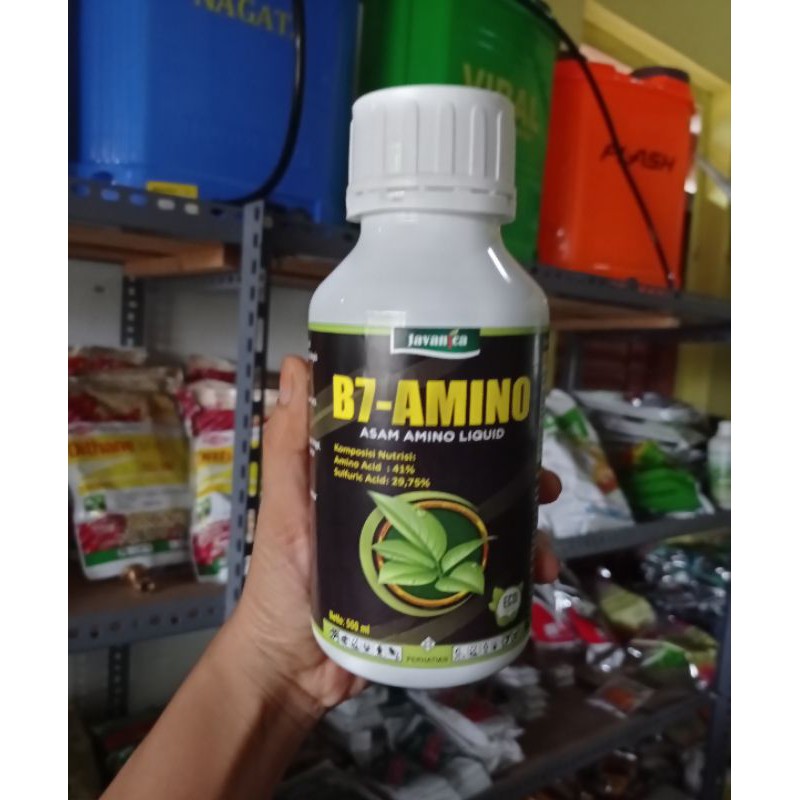 B7-AMINO 500ML// ASAM AMINO JAVANICA