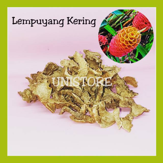 

Lempuyang kering pack 100gr Lampuyang