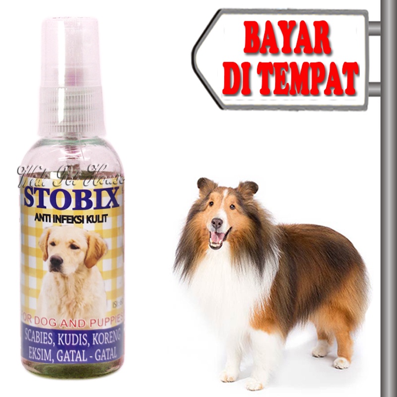 Obat Koreng Jamur Buduk Scabies Anjing Semprot Stobix Shopee Indonesia