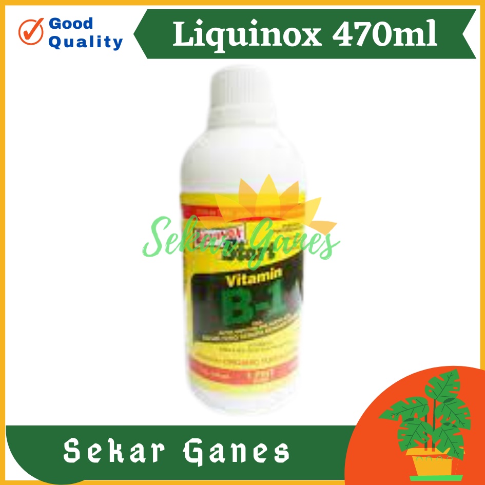 Ori B1 Liquinox 470 Ml Penumbuh Akar Obat Anti Stres Vitamin Nutrisi B1 Tanaman Bibit Stek Cangkok