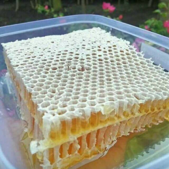 

Madu Sarang