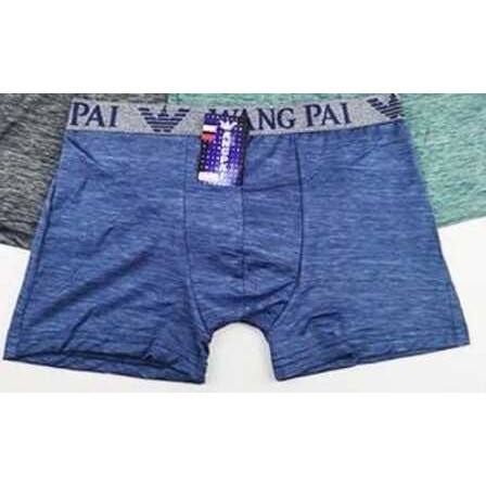 Celana Dalam / CD Under Pants Boxer Remaja - Import Seri 911 Wang Pai