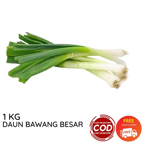 DAUN BAWANG BESAR