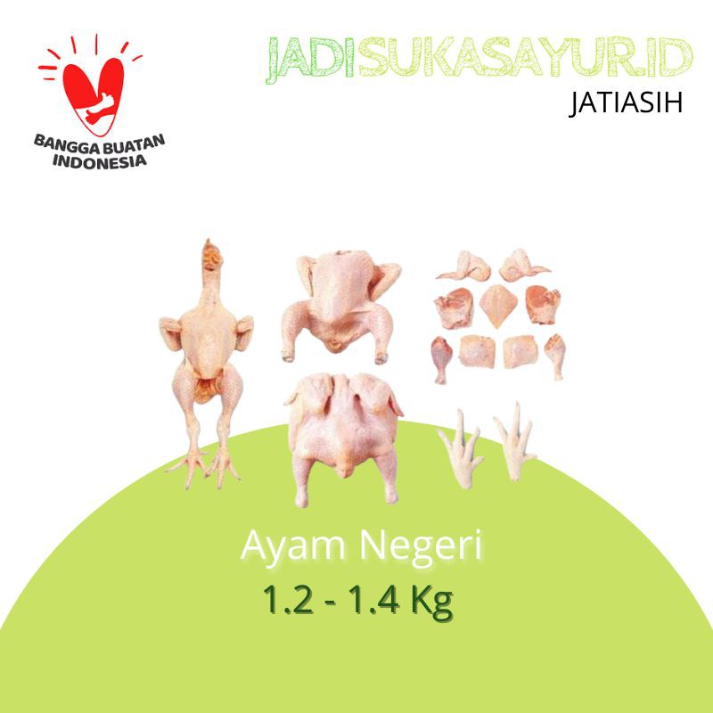 

Ayam Negeri/Negri Potong 10 Segar - Ayam Segar Bekasi