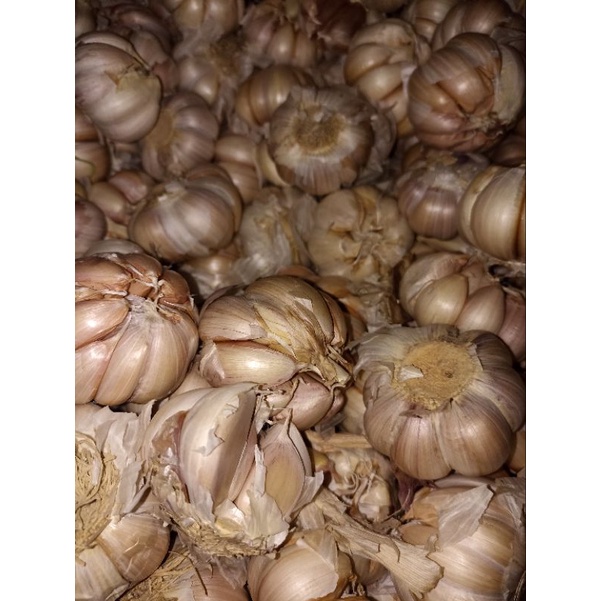 

BAWANG PUTIH BANCI 1KG