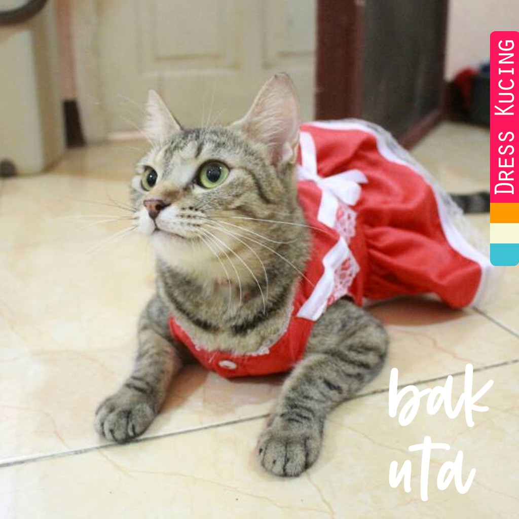 Dress maid anime red vermilion / baju kucing lucu terlaris / baju kucing dan anjing size S M L XL