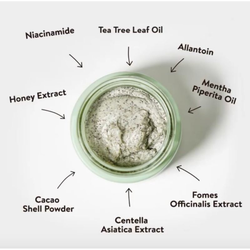 Original Npure Clay Mask Centella Chocomint