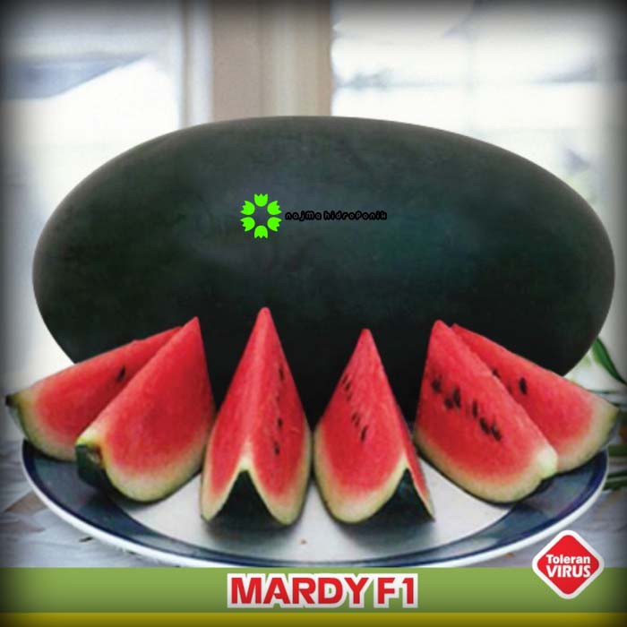 Benih/bibit Semangka Mardy Pouch (Bintang Asia)
