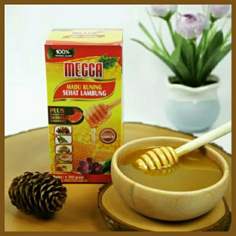 Obat Gerd / Obat Maag / Obat Lambung / Obat Asam Lambung / Madu Maag Salam Ori / Madu Bajakah Borneo