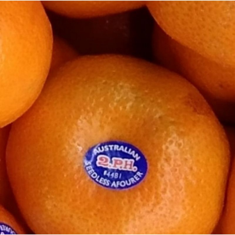 

Jeruk Afourer Australia 1 kg