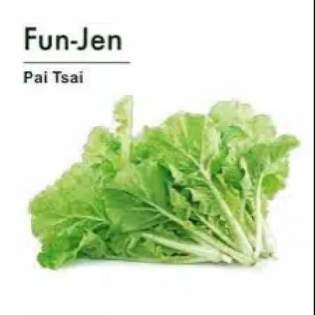 Repack Benih Bibit Sawi Keriting FUN JEN 40bj