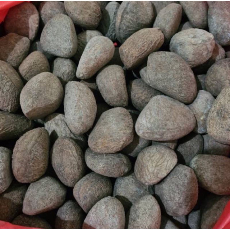

Kluwek 100 Gram