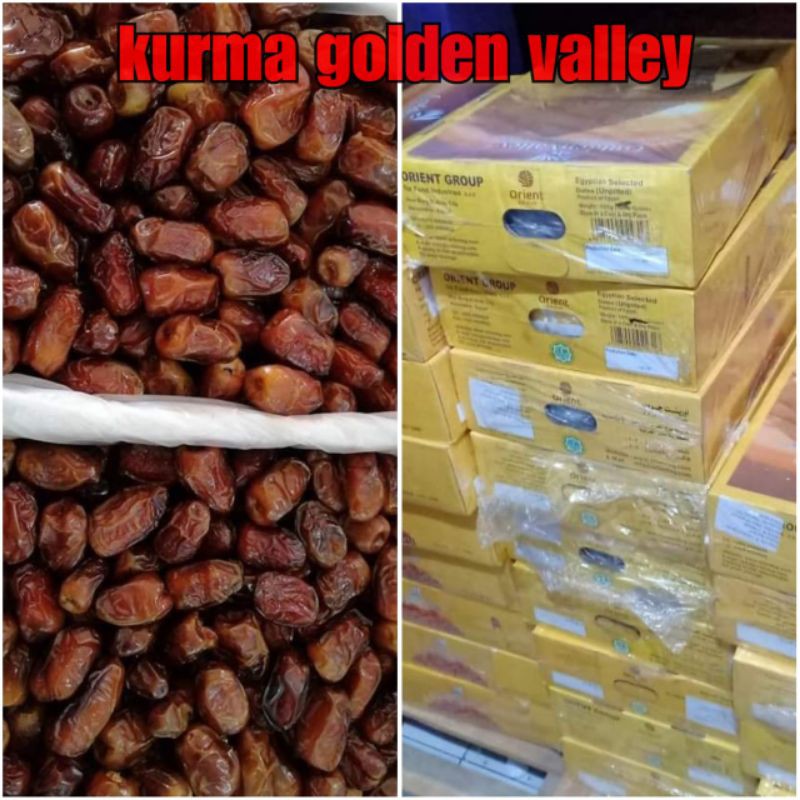 

Kurma Golden Vallery