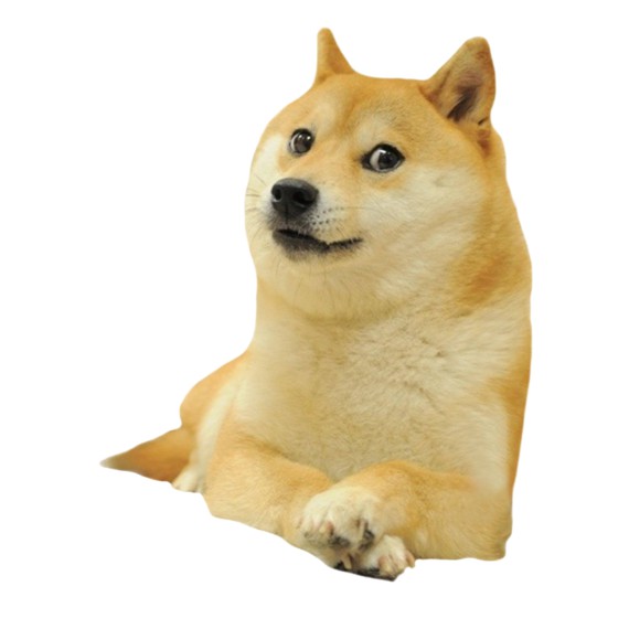 Kaos Meme Premium Custom Anjing Doge Unisex Baju T Shirt T-Shirt Cowo Cewe Pria Wanita Male Female