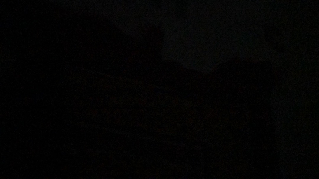 Best Sticky Buddy - Rol Pembersih & Pengangkat Bulu & Kotoran Serbaguna - As Seen On Tv