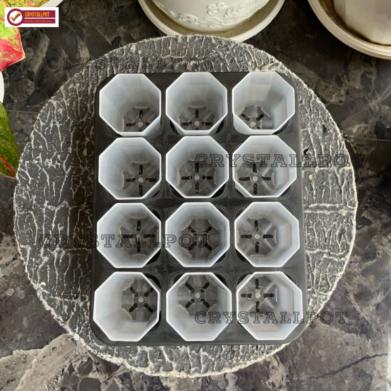 1 set tray + POT NKT PAGODA 5CM BENING TRANSPARAN | tray semai bibit