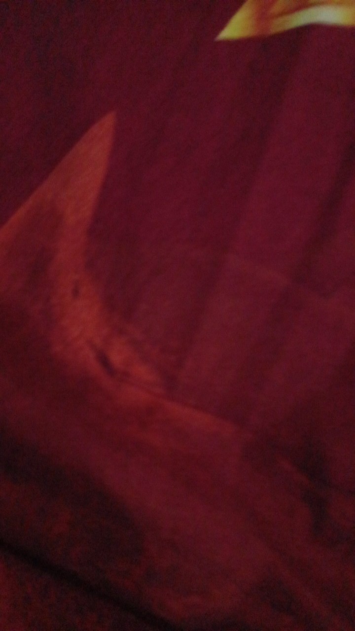 Laundry Bra Bag Segi