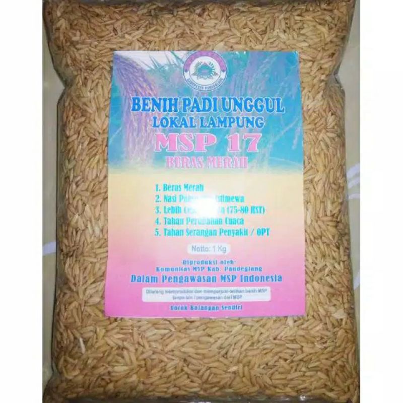 benih padi unggul MSP 17 (BERAS MERAH) murni
