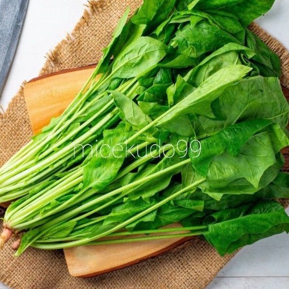 

ENGLISH SPINACH FRESH 500GR / BAYAM INGGRIS / JEPANG HORENZO HORENSO SAYUR SEGAR