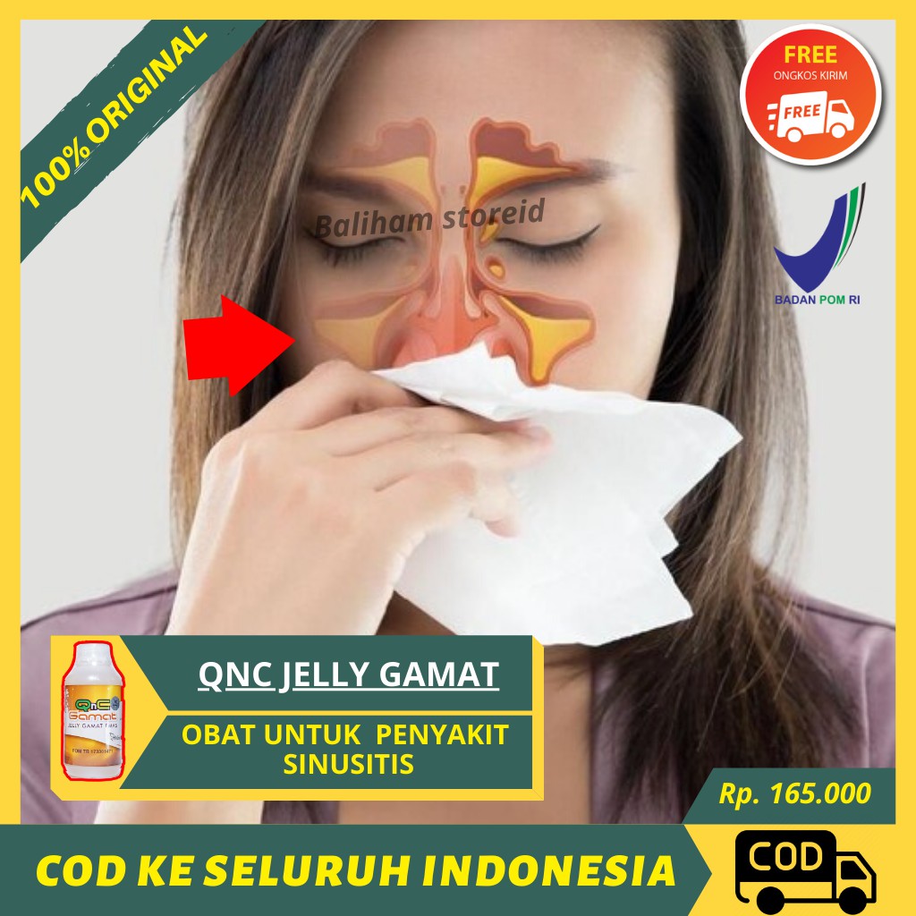 Obat Radang SInus, Sinusitis, Pilek Menahun, Flu Bayi, Sakit Tenggorokan - Qnc Jelly Gamat Herbal