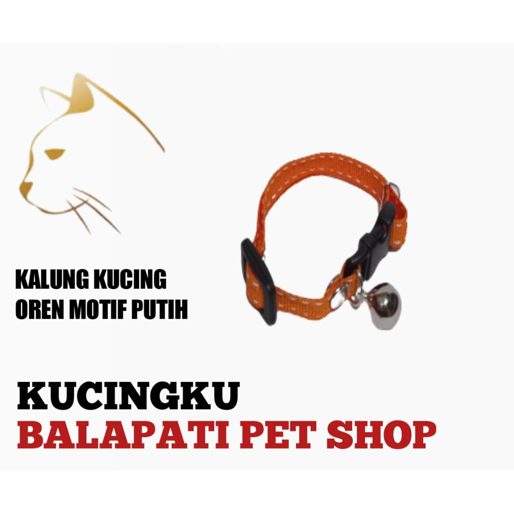 KALUNG KUCING AKSESORIS KUCING OREN GARIS PUTIH HARGA EKONOMIS