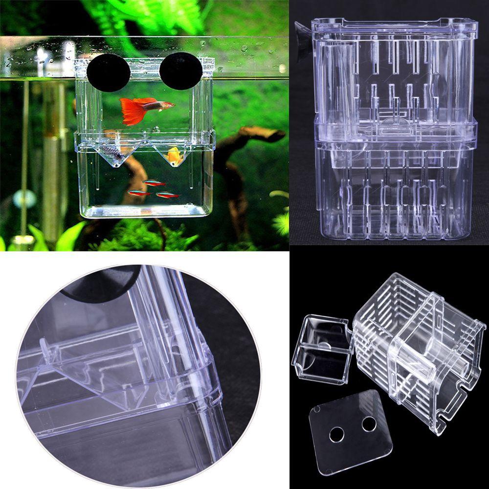 Chookyy Kotak Pembibitan Ikan Sekat Akrilik Yang Bermanfaat Double-Deck Hatching Case Isolasi Aquarium