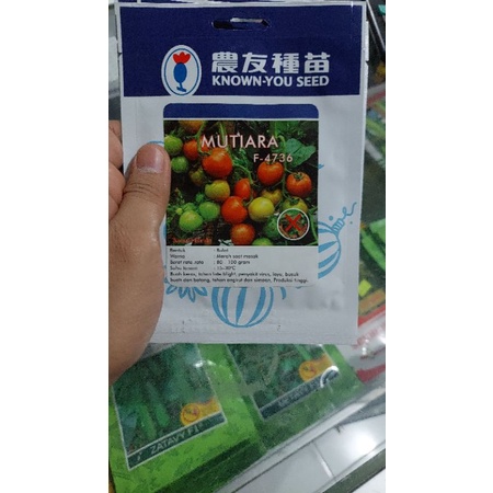 benih tomat known you seed mutiara
