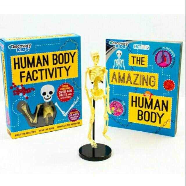 Human Body Factivity