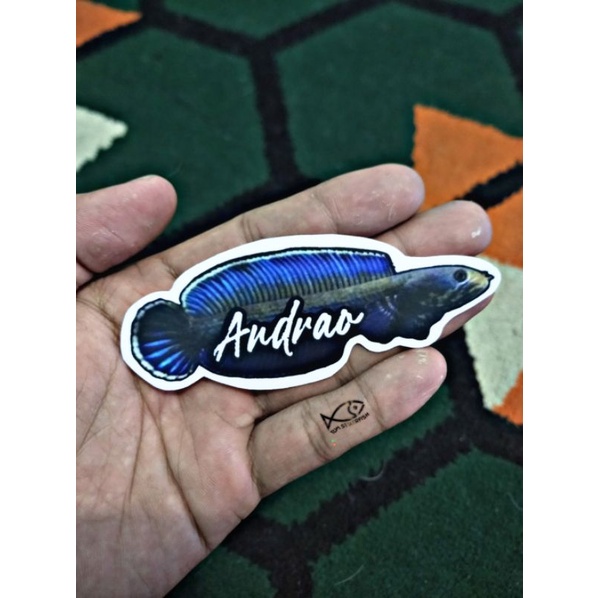 Stiker Channa Andrao | Andrao