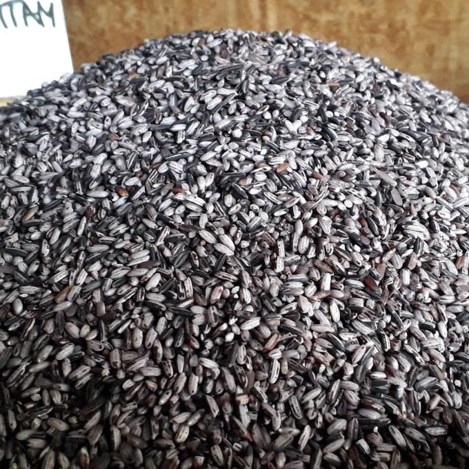 

Big Sale ketan Hitam sosoh Big Sale