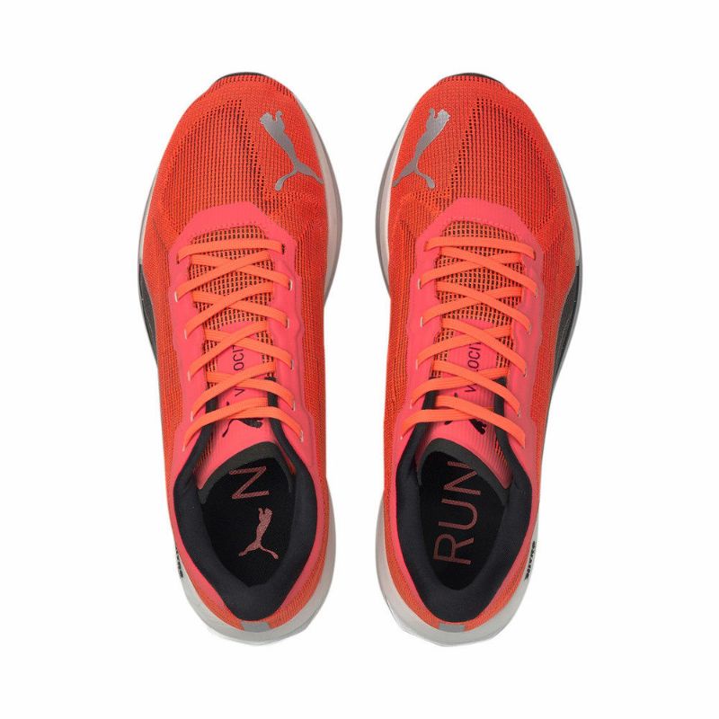 puma training velocity nitro