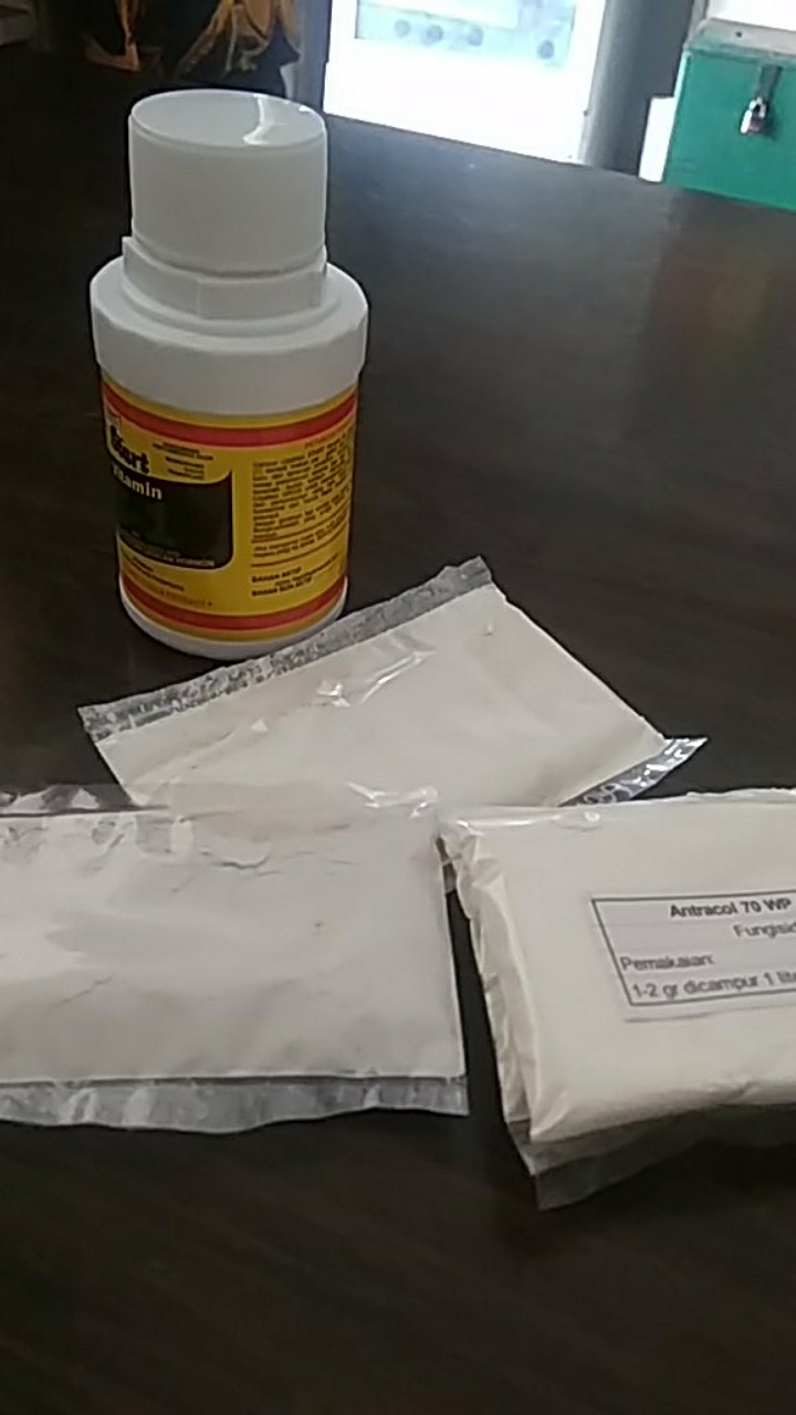 Antracol 10 Gram (repack)