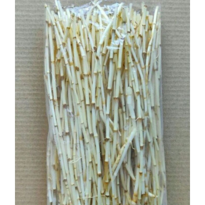 

Akar Alang Alang Fresh Herbal 500gr