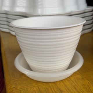 Jual pot tawon ukuran 10 cm pot untuk kaktus Shopee Jual pot tawon ukuran 10 cm pot untuk kaktus Shopee