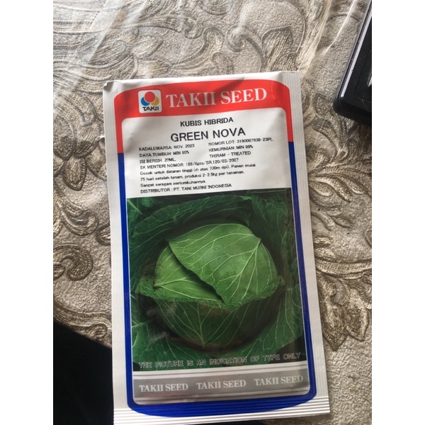 bibit / benih kol hibrida green nova