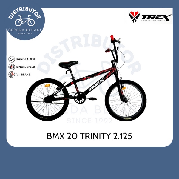 Sepeda Anak 20 BMX Trex Trinity 2.125 (Grab/Gojek/Cargo)