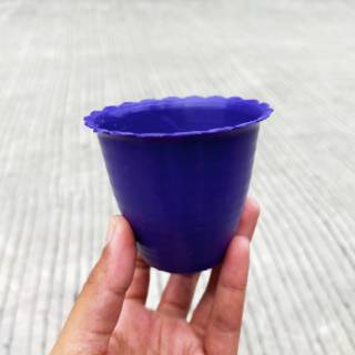 POT NEW TAWON PUTIH UNGU PINK PEACH HITAM 7 5 CM POT BUNGA POT NEW TAWON PUTIH UNGU PINK PEACH HITAM 7 5 CM POT BUNGA