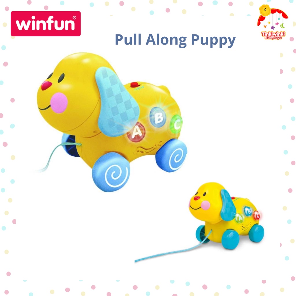 Winfun Pull Along Puppy