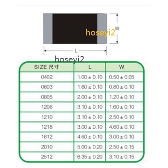 100pcs Ic 101 100 ohm 0402 0603 0805 1206 1210 1218 1812 2010 2512