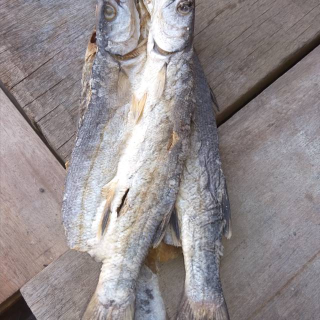 

Ikan asin langsar