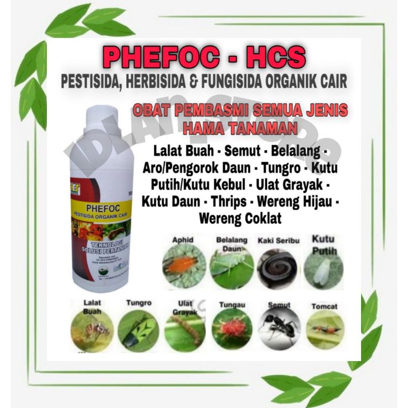 PRODUK- PHEFOC HCS INSEKTISIDA PESTISIDA ORGANIK OBAT PEMBASMI HAMA TANAMAN HIAS/PADI/CABE/BUAH .