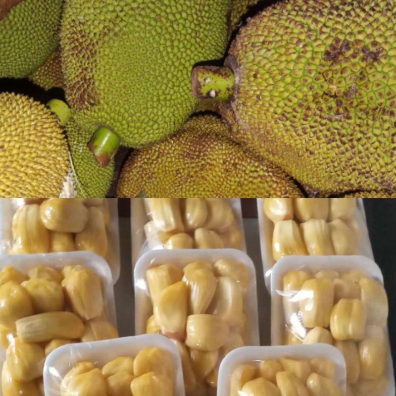 

Nangka
