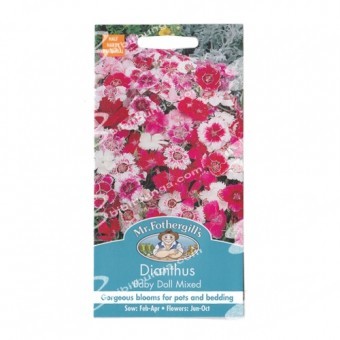 Bibit Benih Biji Mr Fothergills Dianthus Baby Doll Mixed - 200 biji