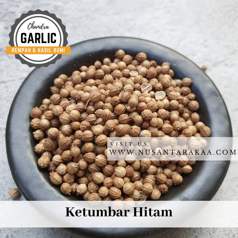 

Ketumbar hitam organik 10 rb an