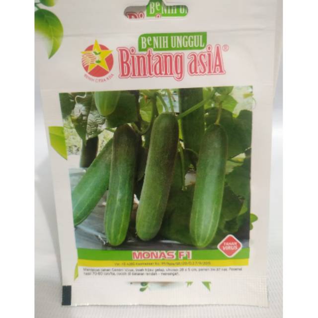 Timun MONAS F1 sp