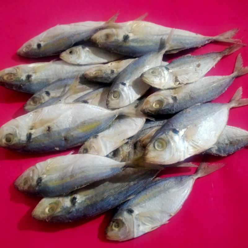 

ikan selar