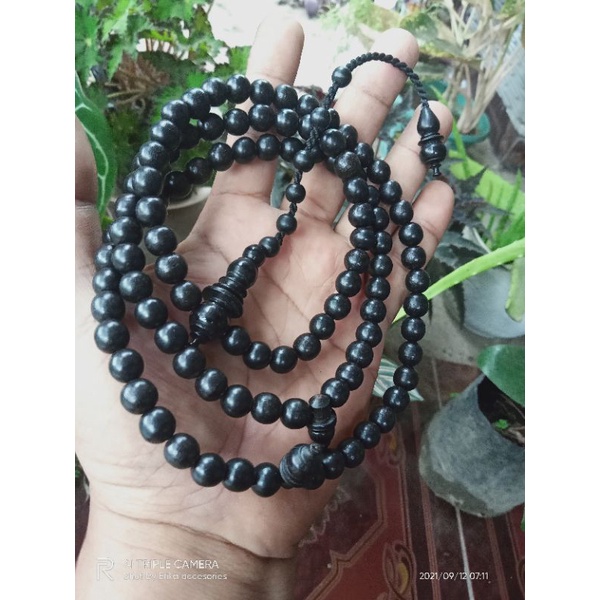 kelor hitam tenggelam